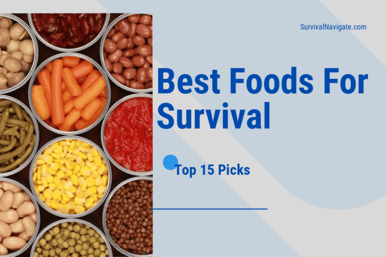 Best Foods for Survival – Top 15 Picks
