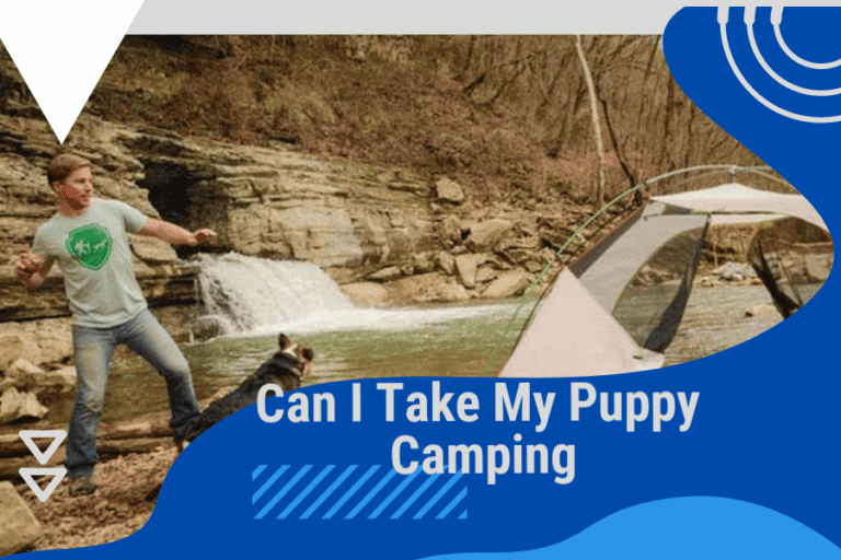 can I take my puppy camping