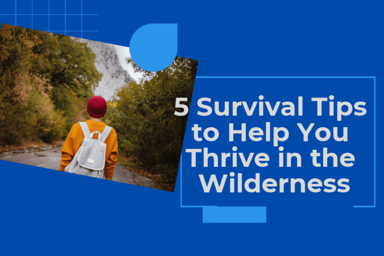 5 Survival Tips to Help You Thrive in the Wilderness